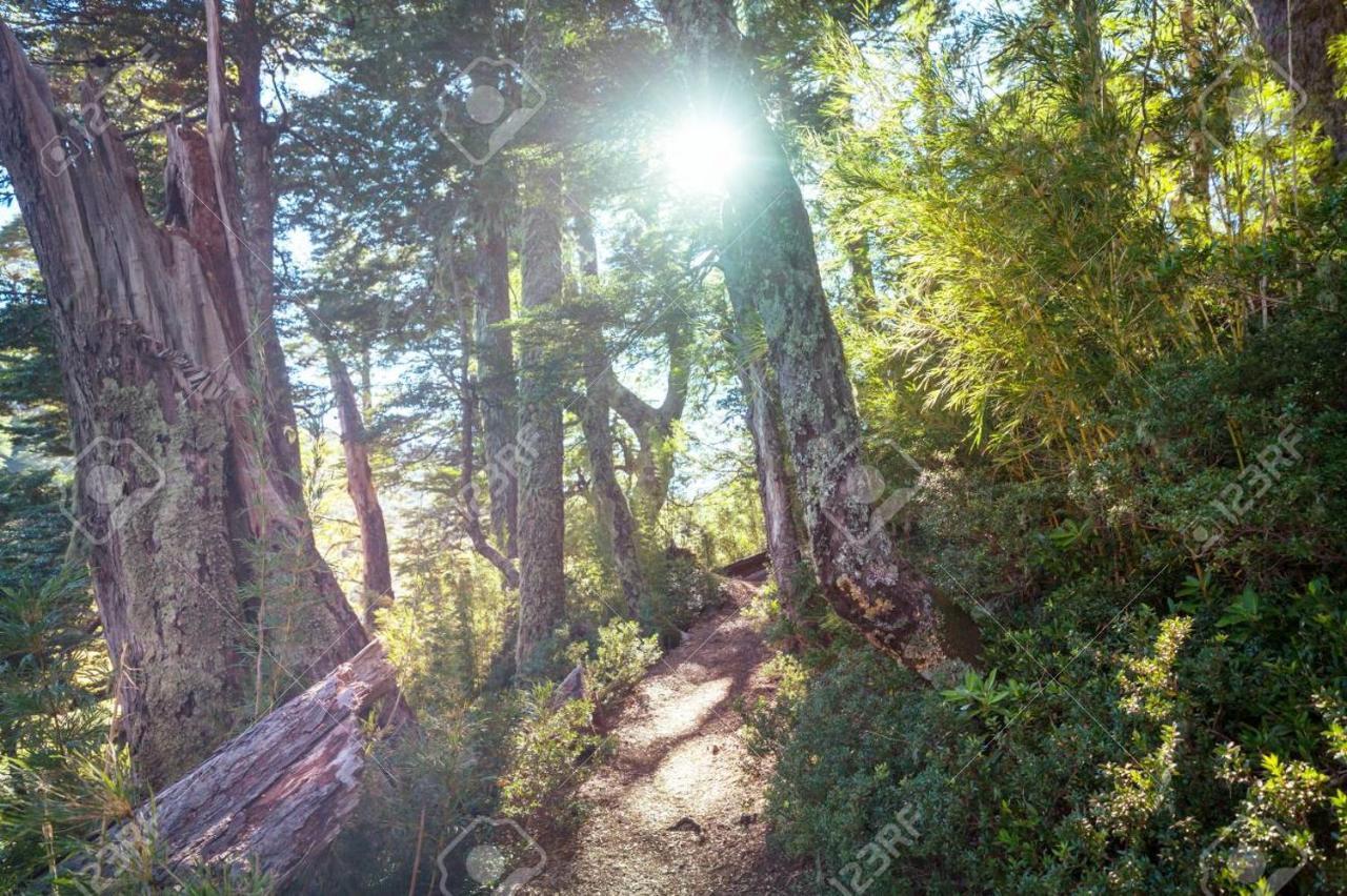 Foret Austral Ranomafana Extérieur photo